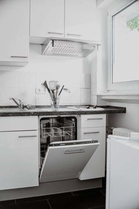 Wiesbaden - Apartment Im Nerotal Eksteriør billede